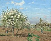 Camille Pissarro Orchard in  Bloom,Louveciennes (nn02) oil painting artist